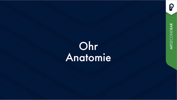 Ohr Anatomie: Anatomie des Außen-, Mittel- und Innenohrs